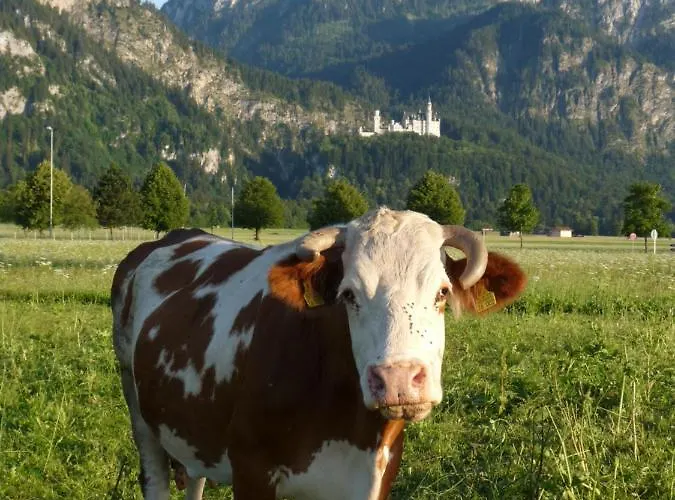 Loft “samuel” شقة أوتينغ أم أميرسيه