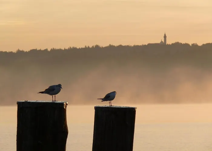 Apartamento Loft “samuel” Utting am Ammersee